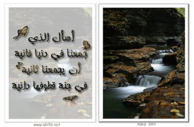 amine